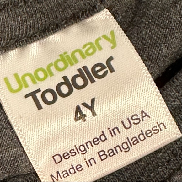 Big Brother T-Shirt Bundle | Unordinary Toddler | 4Y/4T | 2 Shirts (Blue & Gray) - Picture 9 of 10